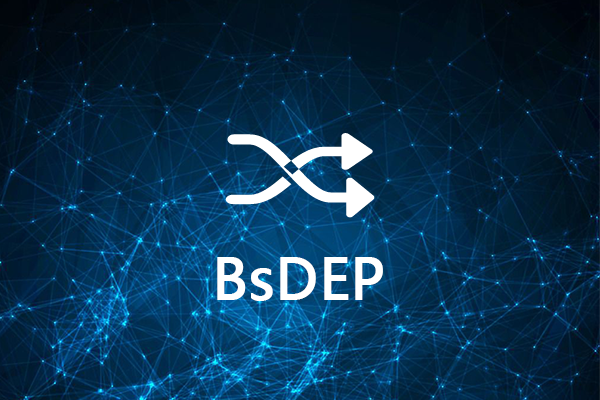 BsDEP数据交换